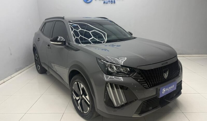 2008 2024 GRIS S (1)