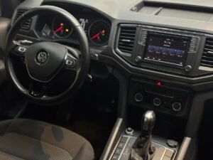 Amarok gris