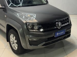 Amarok gris