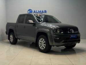 Amarok gris