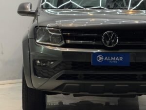 Amarok gris