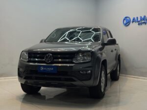 Amarok gris