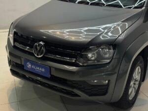Amarok gris
