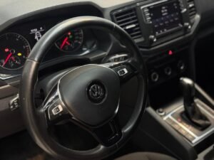 Amarok gris