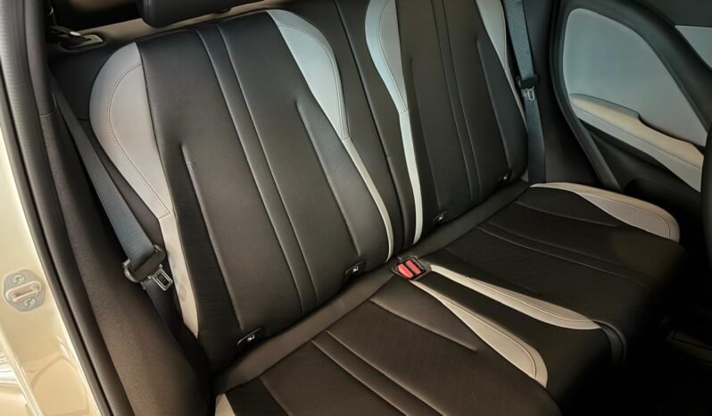 
								BYD DOLPHIN MINI GS HELÉCTRICO 2026 – 0KM lleno									