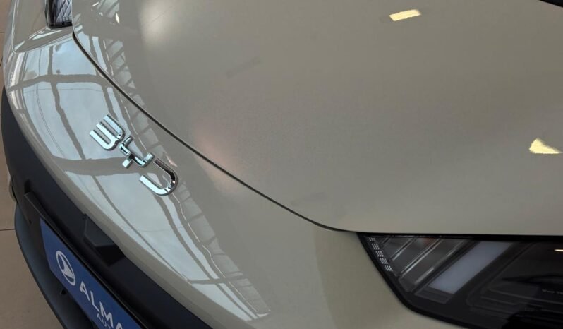 
								BYD DOLPHIN MINI GS HELÉCTRICO 2026 – 0KM lleno									
