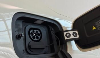 
									BYD DOLPHIN MINI GS HELÉCTRICO 2026 – 0KM lleno								