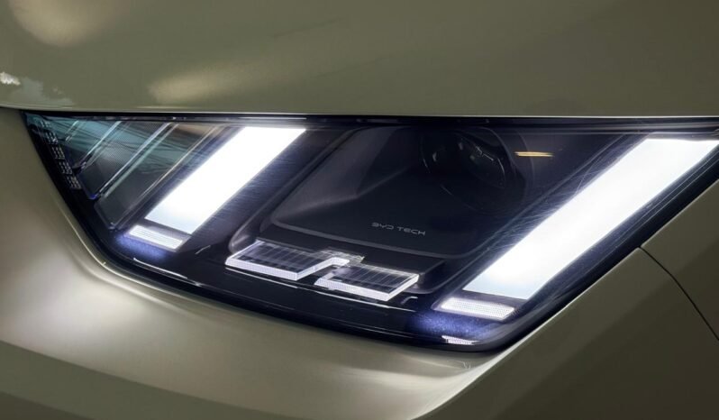 
								BYD DOLPHIN MINI GS HELÉCTRICO 2026 – 0KM lleno									
