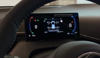 
									BYD DOLPHIN MINI GS HELÉCTRICO 2026 – 0KM lleno								