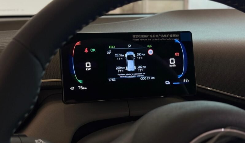 
								BYD DOLPHIN MINI GS HELÉCTRICO 2026 – 0KM lleno									