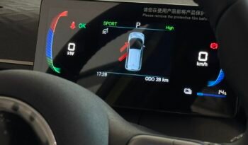 
									BYD DOLPHIN MINI GS HELÉCTRICO 2026 – 0KM lleno								