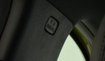 
									BYD DOLPHIN MINI GS HELÉCTRICO 2026 – 0KM lleno								