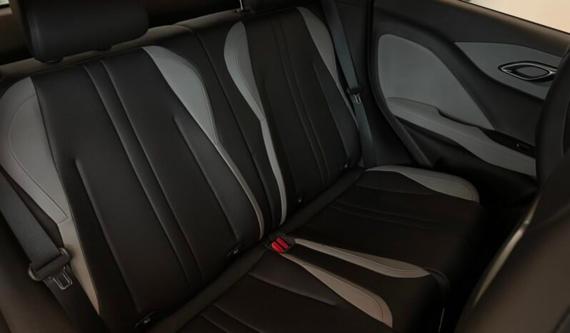 
								BYD DOLPHIN MINI GS HELÉCTRICO 2026 – 0KM lleno									