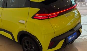
									BYD DOLPHIN MINI GS HELÉCTRICO 2026 – 0KM lleno								