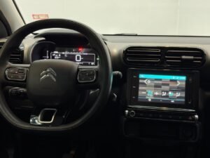 C4 Cactus
