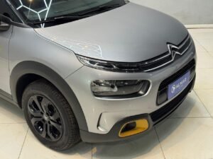 C4 Cactus