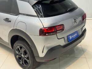 C4 Cactus