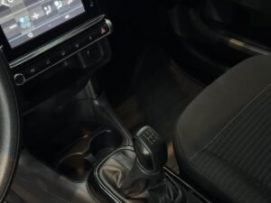 C4 Cactus