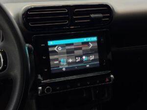 C4 Cactus