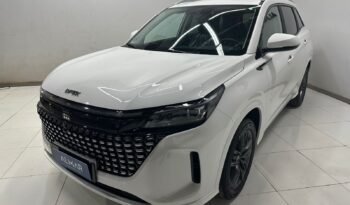 
									DFSK E5 PHEV L1 HYBRID 7 ASIENTOS CVT lleno								