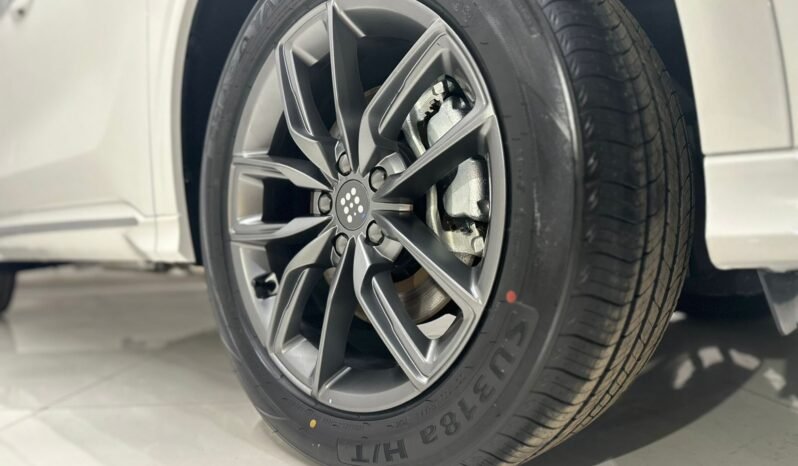 
								DFSK E5 PHEV L1 HYBRID 7 ASIENTOS CVT lleno									