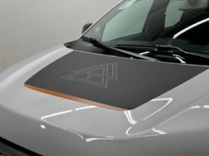FIAT MOBI TRKKING 2024