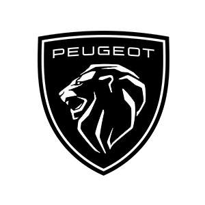 Usados Peugeot